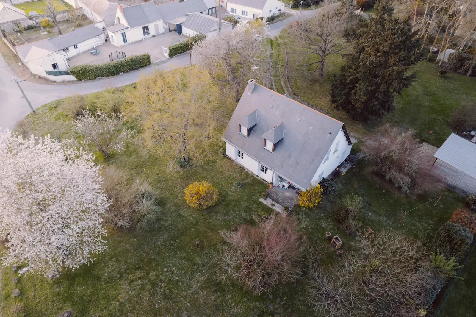 Aerial view of a home in a wooded neighborhood
